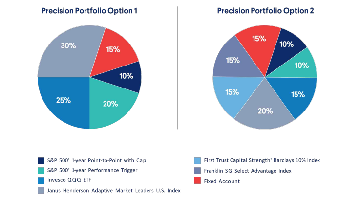 precision portfolio